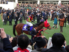 戸崎とジェンティルドンナ
