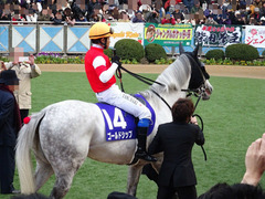 岩田とゴールドシップ