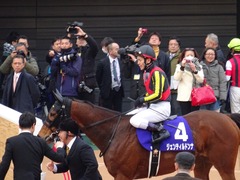 ジェンティル帰還3