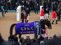 ジェンティル7冠目2