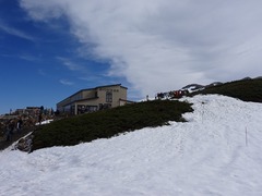 みくりが池温泉。人だかりのところに雷鳥が。