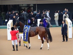 ジェンティル7冠目