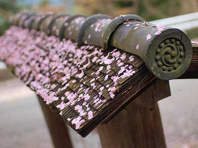 img059