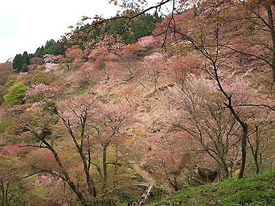 img056