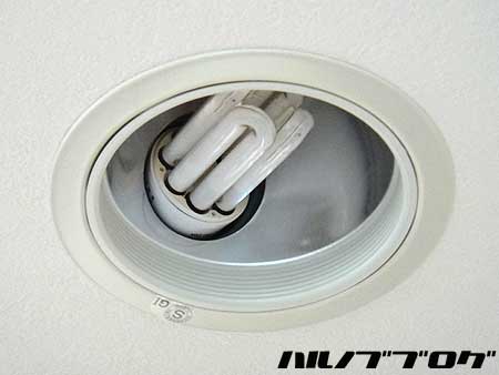 LED01