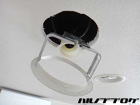 LED02