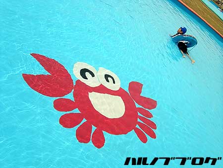 summer008