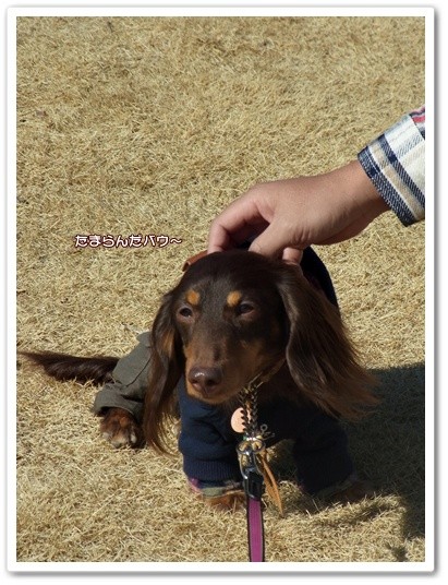 souther_20120317d