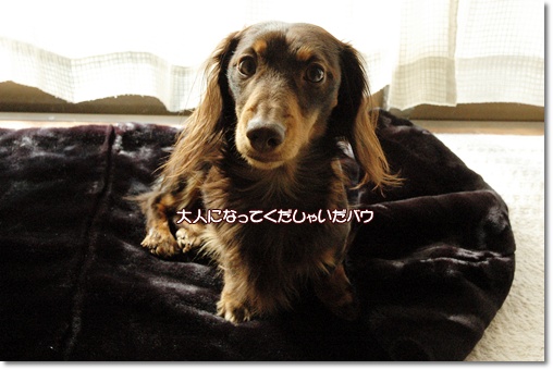 souther_20100129e