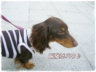 souther_20090708j