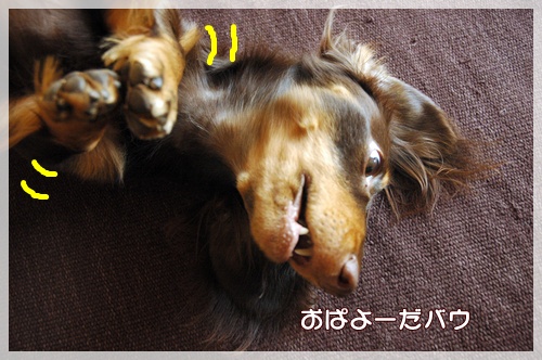 souther_20090929b