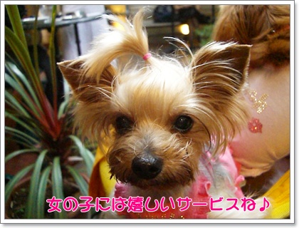 souther_20090611b