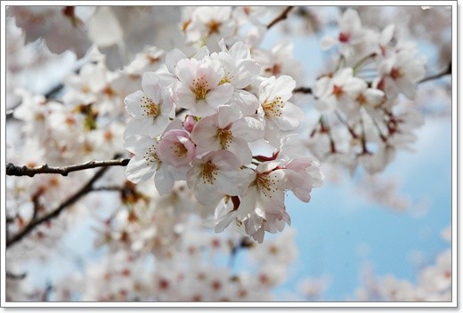 20110325a