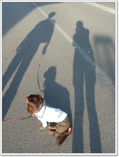 souther_20111026i