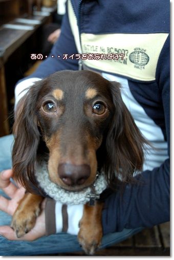 20101206f