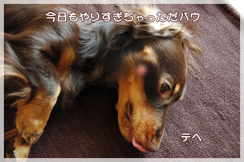 souther_20090929e