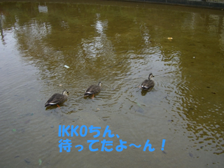 souther_20081112e