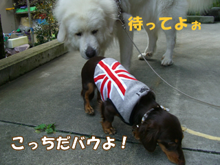 souther_20081106o