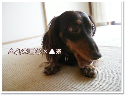 souther_20090717d