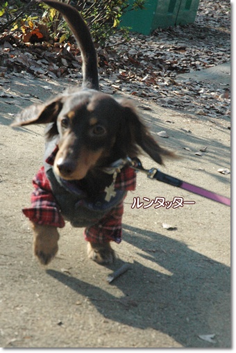 souther_20091225e