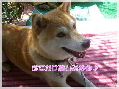 souther_20090831h