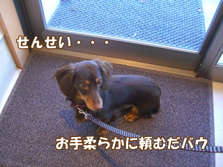 souther_20081206e