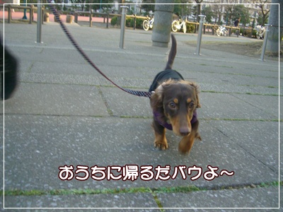 souther_20090225f