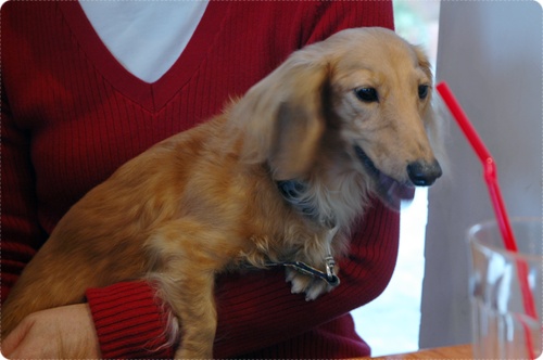 souther_20091028f