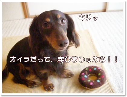 souther_20090626i
