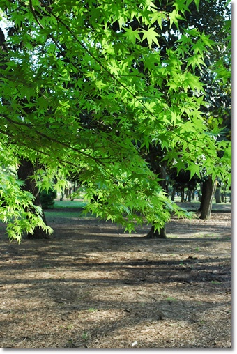 souther_20100428c
