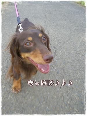 souther_20090706c