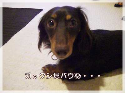 souther_20090731d