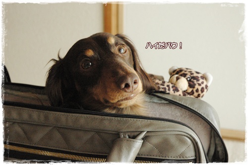 souther_20100214e