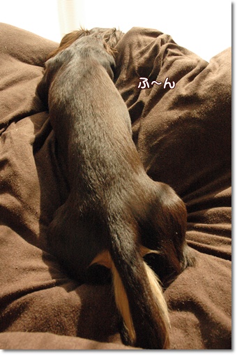 souther_20091219d