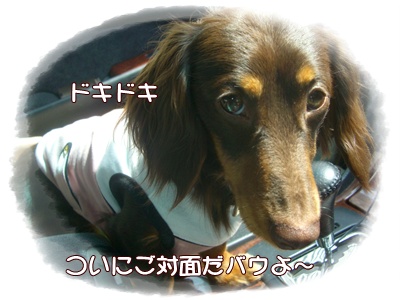 souther_20090405h