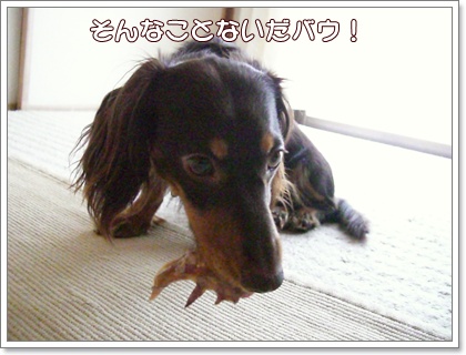 souther_20090717g