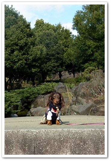 souther_20120325e
