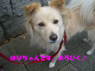 souther_20081112h
