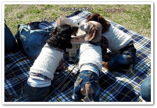 souther_20120424n