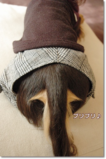 souther_20091210g