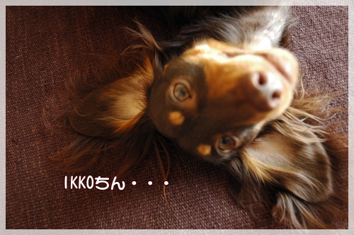souther_20090929a