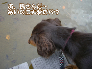 souther_20081112f