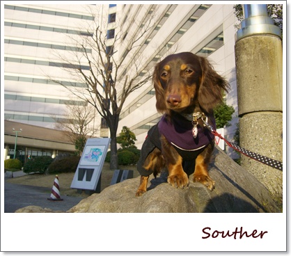 souther_20090225a
