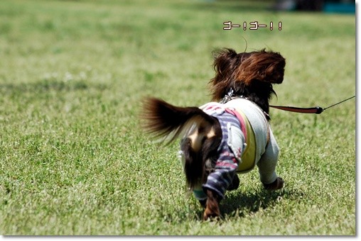 souther_20110517g