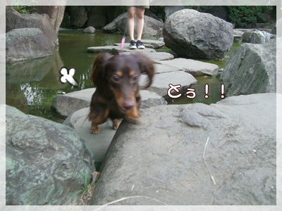 souther_20090827c