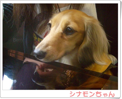 souther_20090406a