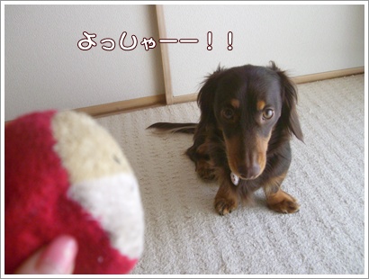 souther_20090305c