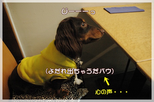 souther_20090919f