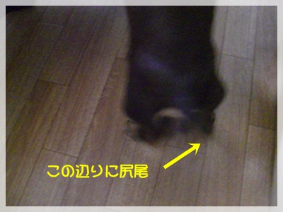 souther_20090731h
