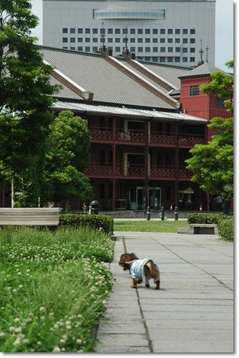 souther_20110704f